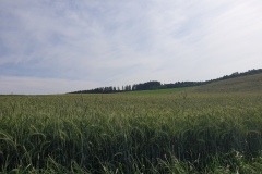 2021-06-12-Gravelbike-Muenchen-Nord-053