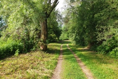 2021-06-12-Gravelbike-Muenchen-Nord-058