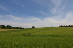 2021-06-12-Gravelbike-Muenchen-Nord-064