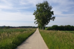 2021-06-12-Gravelbike-Muenchen-Nord-070