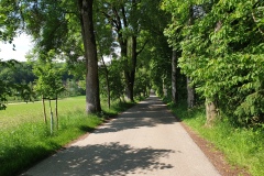 2021-06-12-Gravelbike-Muenchen-Nord-079