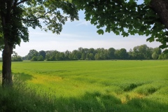 2021-06-12-Gravelbike-Muenchen-Nord-094