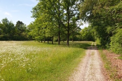 2021-06-12-Gravelbike-Muenchen-Nord-096