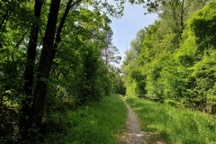 2021-06-12-Gravelbike-Muenchen-Nord-098