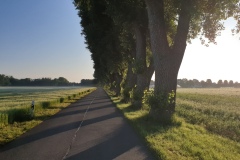 2021-06-26-Gravelbike-Moosburg-06