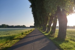 2021-06-26-Gravelbike-Moosburg-07