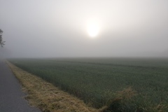 2021-06-26-Gravelbike-Moosburg-09