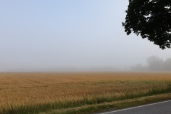 2021-06-26-Gravelbike-Moosburg-15