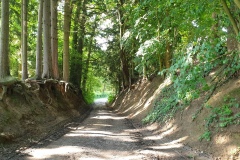 2021-06-26-Gravelbike-Moosburg-50