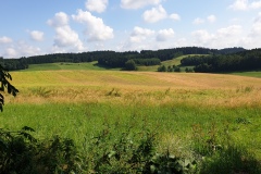2021-06-26-Gravelbike-Moosburg-53