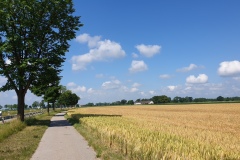 2021-06-26-Gravelbike-Moosburg-57