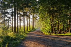 2021-07-11-Gravel-Tour-Schliersee-Tegernsee-14