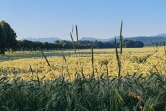 2021-07-11-Gravel-Tour-Schliersee-Tegernsee-20