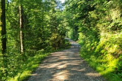 2021-07-11-Gravel-Tour-Schliersee-Tegernsee-21