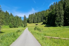 2021-07-11-Gravel-Tour-Schliersee-Tegernsee-59