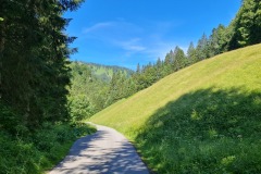 2021-07-11-Gravel-Tour-Schliersee-Tegernsee-60