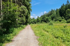 2021-07-11-Gravel-Tour-Schliersee-Tegernsee-84