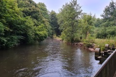 2021-07-24-Gravel-Tour-Staffelsee-01