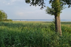 2021-07-24-Gravel-Tour-Staffelsee-10