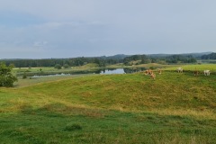 2021-07-24-Gravel-Tour-Staffelsee-13