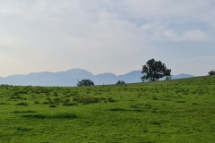 2021-07-24-Gravel-Tour-Staffelsee-17