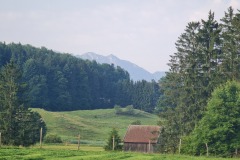 2021-07-24-Gravel-Tour-Staffelsee-21