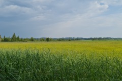 2021-07-24-Gravel-Tour-Staffelsee-27