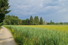 2021-07-24-Gravel-Tour-Staffelsee-28