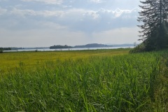 2021-07-24-Gravel-Tour-Staffelsee-29