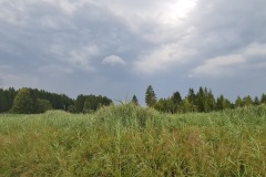 2021-07-24-Gravel-Tour-Staffelsee-35