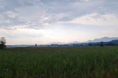 2021-07-24-Gravel-Tour-Staffelsee-36