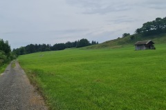 2021-07-24-Gravel-Tour-Staffelsee-50