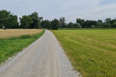 2021-07-24-Gravel-Tour-Staffelsee-59