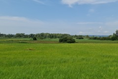 2021-07-24-Gravel-Tour-Staffelsee-62