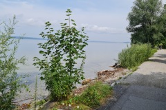 2021-07-24-Gravel-Tour-Staffelsee-66