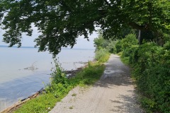 2021-07-24-Gravel-Tour-Staffelsee-67