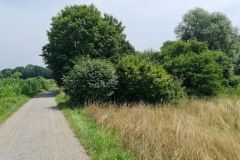 2021-07-24-Gravel-Tour-Staffelsee-69