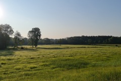 2021-08-21-Gravelbike-Tour-Kochelsee-28