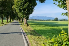 2021-08-21-Gravelbike-Tour-Kochelsee-38