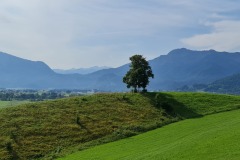 2021-08-21-Gravelbike-Tour-Kochelsee-63