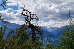 2021-08-28-Wanderung-Prad-Stilfser-Joch-39