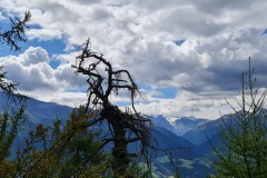 2021-08-28-Wanderung-Prad-Stilfser-Joch-40