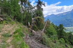 2021-08-28-Wanderung-Prad-Stilfser-Joch-46