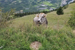 2021-08-28-Wanderung-Prad-Stilfser-Joch-59