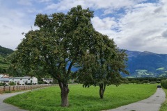 2021-08-29-Gravelbike-Tour-Suedtirol-37