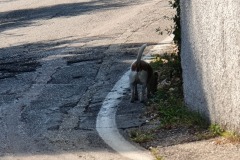 2021-09-02-Gravelbike-Tour-Bardolino-Verona-01