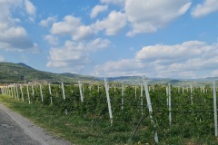 2021-09-02-Gravelbike-Tour-Bardolino-Verona-14