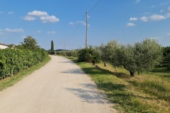 2021-09-02-Gravelbike-Tour-Bardolino-Verona-19