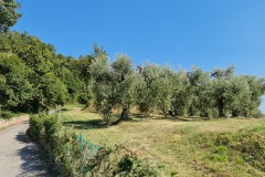 2021-09-06-Gravelbike-Tour-Gardasee-02