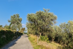 2021-09-06-Gravelbike-Tour-Gardasee-09